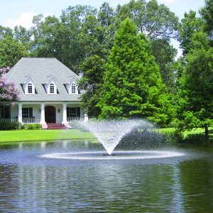 Pond Fountains for Sale: What Comes in the Package and When to Buy