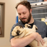 Why Follow Up With A Primary Veterinarian Matters After An Animal Urgent Care Visit