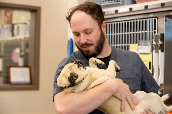 Why Follow Up With A Primary Veterinarian Matters&hellip;
